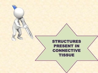 STRUCTURES
PRESENT IN
CONNECTIVE
TISSUE
 