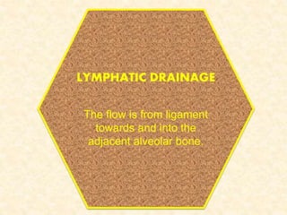 LYMPHATIC DRAINAGE
The flow is from ligament
towards and into the
adjacent alveolar bone.
 