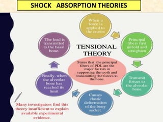 SHOCK ABSORPTION THEORIES
 