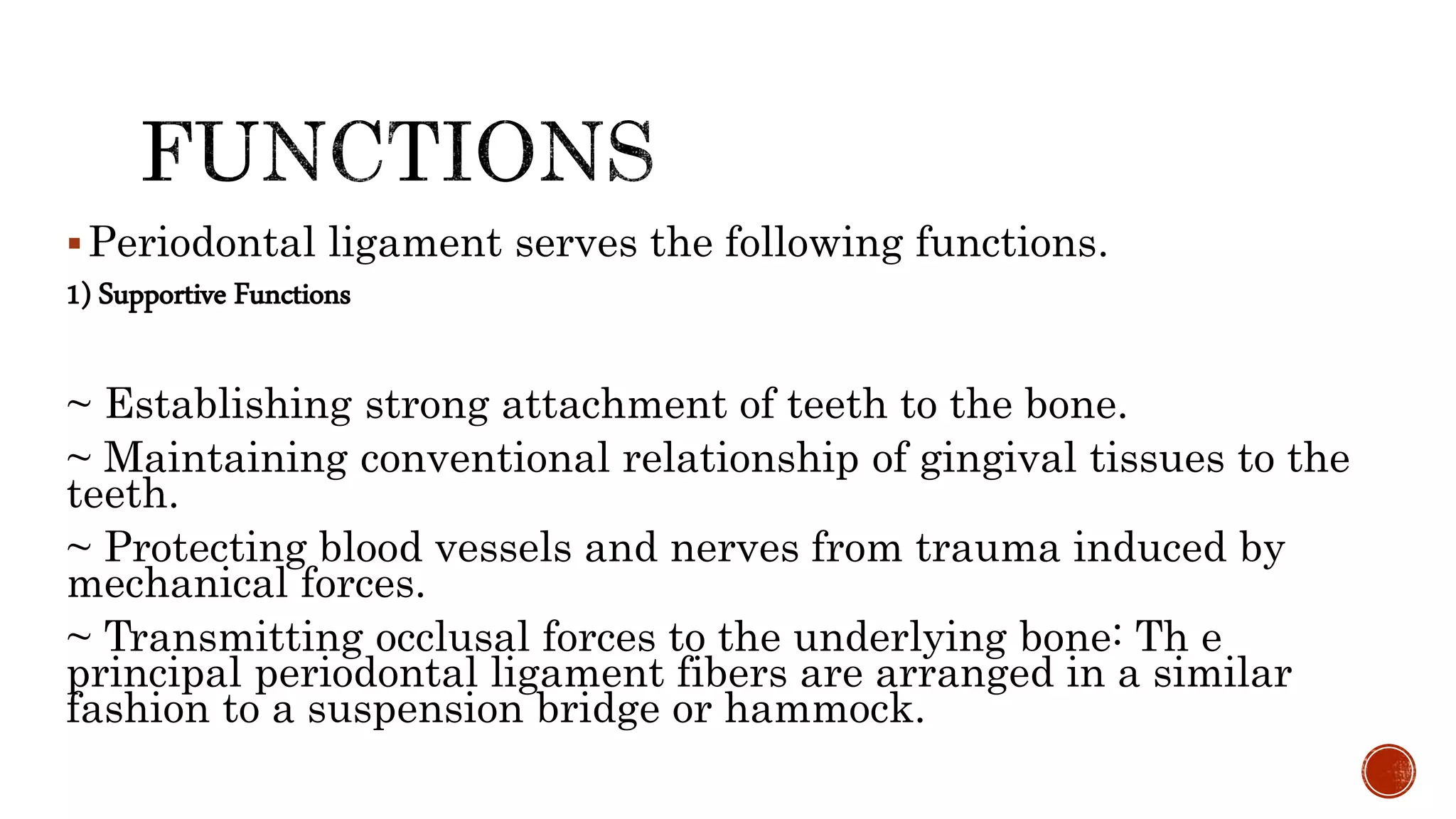 Periodontal ligament serves the following functions.
1) Supportive Functions
~ Establishing strong attachment of teeth to the bone.
~ Maintaining conventional relationship of gingival tissues to the
teeth.
~ Protecting blood vessels and nerves from trauma induced by
mechanical forces.
~ Transmitting occlusal forces to the underlying bone: Th e
principal periodontal ligament fibers are arranged in a similar
fashion to a suspension bridge or hammock.
 