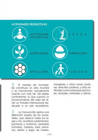 | 19 |
││ El manejo de humeda-
les constituye un reto mundial
y la Convención actualmente
cuenta con más de 160 partes
contratantes, lo que supone un
reconocimiento del valor de te-
ner un tratado internacional de-
dicado a un solo ecosistema.
││ La Convención aplica una
definición amplia de los hume-
dales, que abarca todos los la-
gos y ríos, acuíferos subterráneos,
pantanos y marismas, pastizales
húmedos, turberas, oasis, estua-
rios, deltas y bajos de marea,
manglares y otras zonas coste-
ras, arrecifes coralinos, y sitios ar-
tificiales como estanques piscíco-
las, arrozales, embalses y salinas.
ACTIVIDADES PRODUCTIVAS
ACTIVIDADES
DEPORTIVAS
P E S C A
AGRICULTURA FORESTACIÓN
APICULTURA T U R I S M O
 