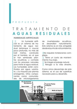 | 81 |
P R O P U E S T A
T R A T A M I E N T O D E
A G U A S R E S I D U A L E S
HUMEDALES ARTIFICIALES
││     Un humedal artifi-
cial es un sistema de tra-
tamiento de agua resi-
dual (estanque o cauce)
poco profundo, no más de
0,60 metros, construído
por el hombre, en el que
se han sembrado plan-
tas acuáticas, y contado
con los procesos naturales
para tratar el agua residual.
Los humedales están cons-
tituidos por agua, substra-
to, y la mayoría por plantas
emergentes. Otros compo-
nentes como comunida-
des de microorganismos
de invertebrados acuáticos,
se desarrollan naturalmente.
Este sistema es el más amigable
desdeelpuntodevistaambiental.
││No requiere instalaciones com-
plejas.
││ Tiene un costo de manteni-
miento muy bajo.
││ Se integra al paisaje natural.
││   Refugia a la vida silvestre.
Como única desventaja de este
sistema, es el uso de superficie
necesario para su desarrollo.
 