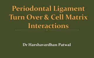 Dr Harshavardhan Patwal
 