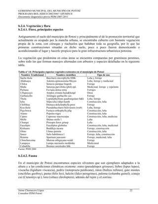 GOBIERNO MUNICIPAL DEL MUNICIPIO DE POTOSÍ
PROGRAMA BOL/AIDCO/2002/0467 APEMIN II
Documento diagnóstico previo PDM 2007-2011
Jaime Chumacero López 22
Consultor PDM Potosí
b.2.4. Vegetación y flora
b.2.4.1. Flora, principales especies
Antiguamente el suelo del municipio de Potosí y principalmente el de la promoción territorial que
actualmente es ocupado por la mancha urbana, se encontraba cubierto con bastante vegetación
propia de la zona, con ciénegas y riachuelos que bañaban toda su geografía, por lo que las
primeras construcciones situadas en dicho suelo, poco a poco fueron domesticando o
acondicionando el lugar y hacerlo propicio para la gran infraestructura urbanística potosina.
La vegetación que predomina en estas áreas se encuentra compuestas por gramíneas perennes,
sobre todo las que forman manojos alternadas con arbustos y especies detalladas en la siguiente
tabla.
Tabla nº 14: Principales especies vegetales existentes en el municipio de Potosí
Nombre Tradicional Nombre científico Tipo de uso
Sacha thola Baccharis microphylla HBK Leña y forraje
Añahuaya Ademia epinossisima Meyen Leña, forraje y medicinal
Chilca Senecio pampae lingesh Forraje
Muña Satureja parvifolia (phil) epl. Medicinal, forraje y repelente
Pichana Faviana densa remy Forrajes
Ullupuyuyo Atrplex cristata hum&bonpl Otros
Garbancillo Atralagus garbacillo cav. Forraje
Thola Lepidophyllium quadrangulare b&h Leña, forraje
Ichu Stipa ichu (r&p) kunth Construcción, leña
Chillihua Destuca dolichophylla presi Forraje
Koa thola Pseudobaccharis boliviensis (web) Leña, forraje
Paja brava Festuca orthophylla pilg Construcción, leña
Alamo Populus nigra Construcción, leña
Cipres Cupresus macrocarpa Construcción, leña, medicina
Molle Shinus molle l. Leña
Churqui Prosopis ferox grisep Leña
Eucalipto Eucaliptus globulus Construcción, leña, medicinal
Kishuara Buddleja incana Forraje, construcción
Olmo Ulmus pumita Construcción, leña
Sauce Salís babilónica l. Forraje, leña, construcción
Retama Spartium junceum Forraje, medicinal, leña
Chinchercoma Mutisia orbignyana wedd Forraje
Lampaya Lampa mecinalis moldenke Medicianal
Cebadilla Bromus unioloides hbk Forraje
Fuente: PDM 2000
b.2.4.2. Fauna
En el municipio de Potosí encontramos especies silvestres que son ejemplares adaptados a la
altura y a las condiciones climáticas existente: zorro (pseudalopex grisseus), liebre (lepus lepus),
viscacha (ligidium viscaccia), pedriz (notoprocta perdicana), raton (bufeos rufinus), gato montes
(oncifelus geofroy), puma (felis leo), halcón (falco peregrinus), paloma (columba guinel), conejo
cui (Ctenomys sp.), loro (sittace chroloptera), además del tejón y el zorrino.
 