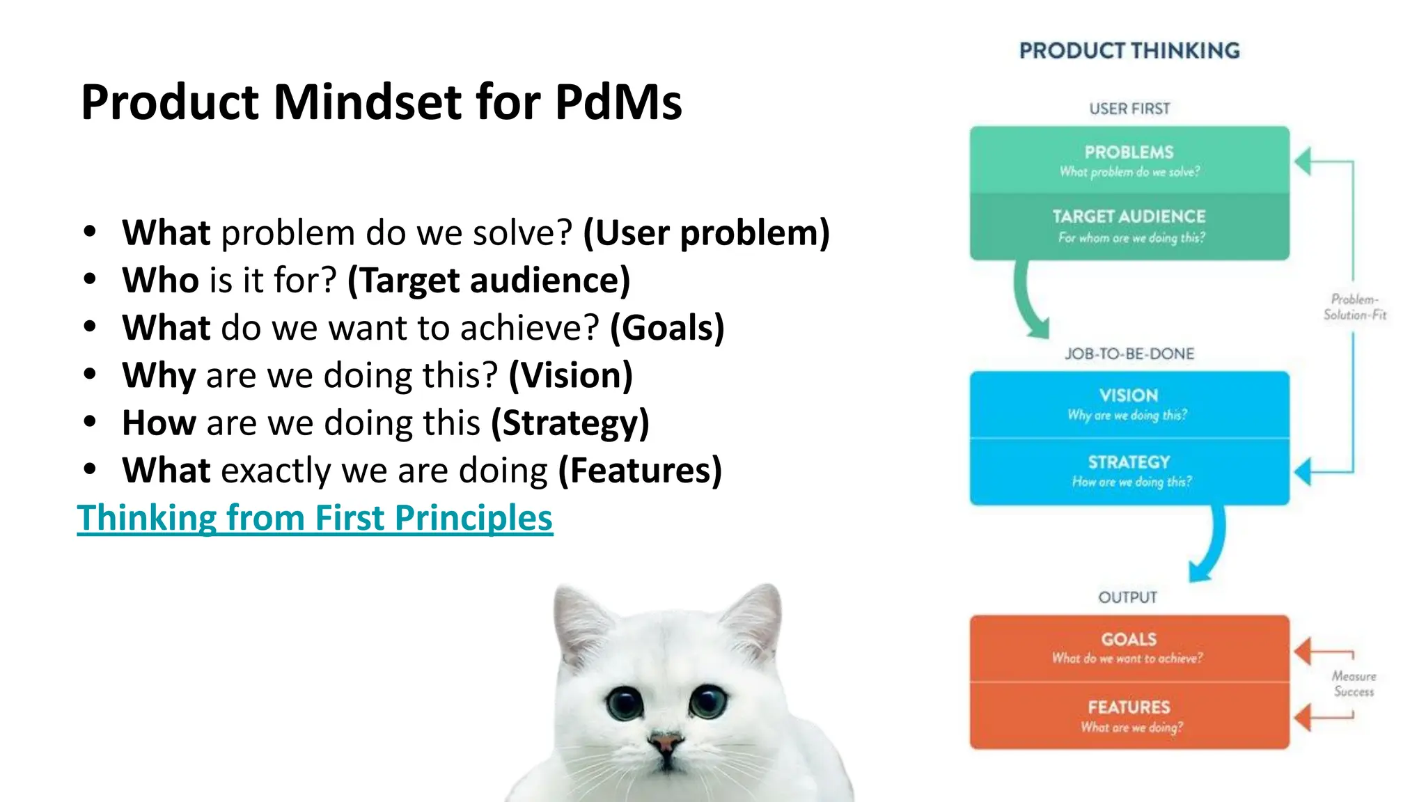 Product Mindset for PdMs
• What problem do we solve? (User problem)
• Who is it for? (Target audience)
• What do we want to achieve? (Goals)
• Why are we doing this? (Vision)
• How are we doing this (Strategy)
• What exactly we are doing (Features)
Thinking from First Principles
 