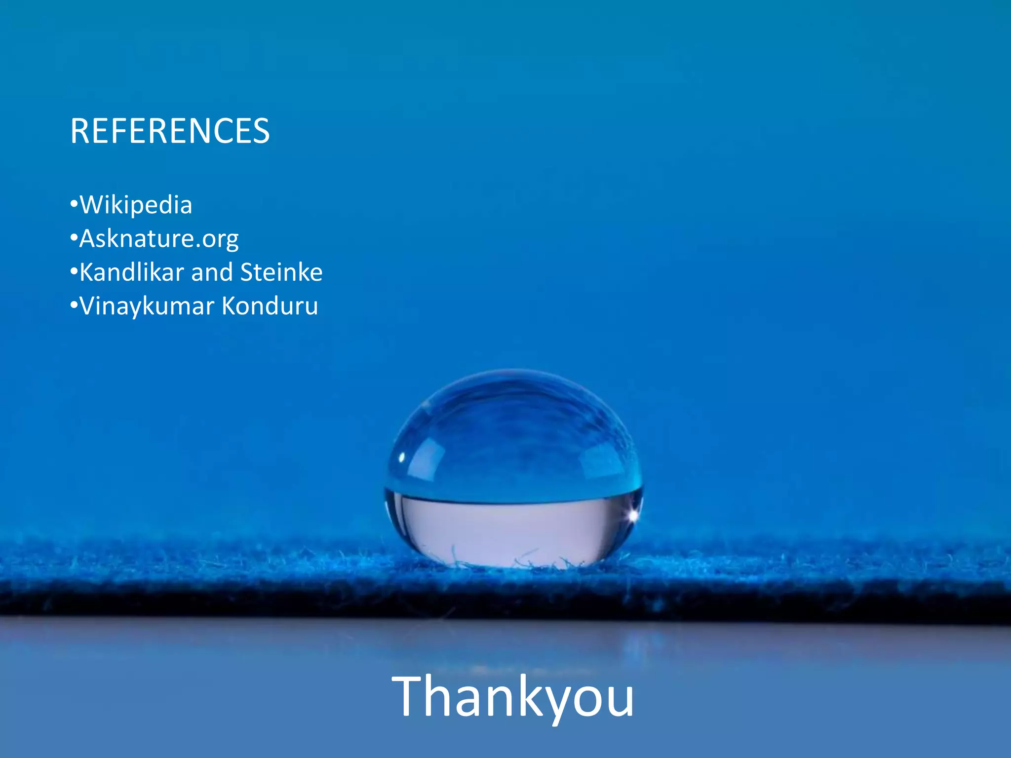 REFERENCES
•Wikipedia
•Asknature.org
•Kandlikar and Steinke
•Vinaykumar Konduru




                         Thankyou
 