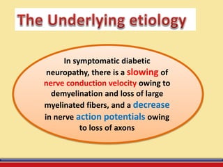 In symptomatic diabetic
neuropathy, there is a slowing of
nerve conduction velocity owing to
demyelination and loss of large
myelinated fibers, and a decrease
in nerve action potentials owing
to loss of axons
 