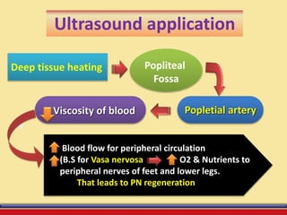 Ultrasound application
Deep tissue heating Popliteal
Fossa
Popletial arteryViscosity of blood
Blood flow for peripheral circulation
(B.S for Vasa nervosa O2 & Nutrients to
peripheral nerves of feet and lower legs.
That leads to PN regeneration
 