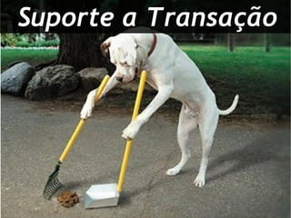 Suporte a Transação
 