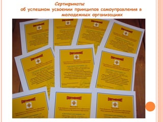 Сертификаты 
об успешном усвоении принципов самоуправления в 
молодежных организациях 
 