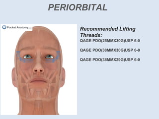 PERIORBITAL
Recommended Lifting
Threads:
QAGE PDO(25MMX30G)USP 6-0
QAGE PDO(38MMX30G)USP 6-0
QAGE PDO(38MMX29G)USP 6-0
 