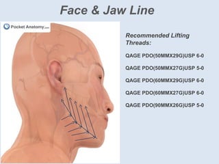 Face & Jaw Line
Recommended Lifting
Threads:
QAGE PDO(50MMX29G)USP 6-0
QAGE PDO(50MMX27G)USP 5-0
QAGE PDO(60MMX29G)USP 6-0
QAGE PDO(60MMX27G)USP 6-0
QAGE PDO(90MMX26G)USP 5-0
 