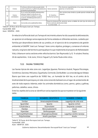 Gobierno Autónomo Descentralizando Parroquial Rural “José Luis Tamayo” 60
9 Crotos
Codiaeum(denominadopopularmente
como crotón) es un génerode plantas de
la familia Euphorbiaceae.
Varios sectores
Se observan especialmente en las zonas intervenidas como
plantas ornamentales
10
Cactus
candelabro
Es un cactusde tamañoarborescentea
arbóreo, hasta5 mde altura;con
ramificacionessituadasen su parte
superior,dándoleaparienciade un
candelabro.
B. Carolina
Vía Punta Carnero
Aún existen áreas donde se puede apreciar arboles de esta
especie
11 Neen Conocidocomo azadirachtaindica
Paseo los Samanes
Varios sectores de
la comunidad
Se aprecian varias unidades de este tipo de árbol en la
comunidad
Tabla N° 29 Flora de la Parroquia José Luis Tamayo.
Fuente:MAE 2020
Autor: VIEMPSA - 2020.
En relacióna la flora deJosé Luis Tamayoel crecimientourbano ha ido causando la deforestación,
se aprecian sin embargo varias especies de forma aisladas en diferentes sectores, cuidados por
familias por desarrollarse dentro de sus predios, en el ejercicio de la competencia de gestión
ambiental, el GADPR “José Luis Tamayo” tiene como objetivo, proteger y conservar el entorno
natural y originario del territorio parroquial por lo que implementa el proyecto de Reforestación
Vial y Urbana en varios sectores entre ellos los barrios: San Raymundo I y II, 9 octubre, Paraíso,
24 de septiembre, 6 de Junio, Vinicio Yagual I y II, Santa Paula entre otros.
7.2.3 FAUNA TERRESTRE
Las faunas típicas de esta zona son, Lagartijas, Iguanas, Flamenco Austral, Pagaza Psiconegra,
Correlimos, Gaviotas, Pelícanos, Cigueñuela, Cormorán, Zambullidor. La conocida laguna Velasco
Ibarra que tiene una superficie de 18.965 has., un humedal de 424 has, es el centro de la
biodiversidad de la parroquia y en esta zona conocido balnearioes un lugar de avistamiento de
aves de toda especie. Además, están los animales domésticos como, perros, gatos y gallinas,
palomas, caballos, vacas, chivos.
Entre los reptiles de la zona se identifican varias especies las que se muestran en la siguiente
tabla:
FAMILIA NOMBRE CIENTIFICO NOMBRE COMUN
Teiidae Ameivaseptemlineata Lagartija de cola azul
Iguanidae Iguana Iguana común
Colubridae a Drymoluber Serpiente corredor
Elaídae Micrurusdumerilii Coral
Viperidae Bothropsasper Equis
Gymnophthalmidae Alopoglossusfestae Lagartija vientre naranja
Polychrotidae Anolis gracilipes Anolis
Tabla N° 30 Fauna de la Parroquia José Luis Tamayo.
Fuente:MAE 2020
Autor: VIEMP.SA 2020.
 