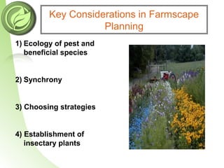 Key Considerations in Farmscape
Planning
1) Ecology of pest and
beneficial species
2) Synchrony
3) Choosing strategies
4) Establishment of
insectary plants
 