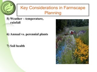 Key Considerations in Farmscape
Planning
5) Weather – temperature,
rainfall
6) Annual vs. perennial plants
7) Soil health
 