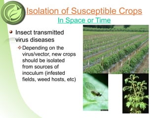 Isolation Model Insect Control Integrated Pest Managment | PPT