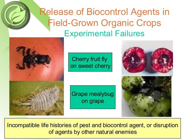 Integrated Pest Managment