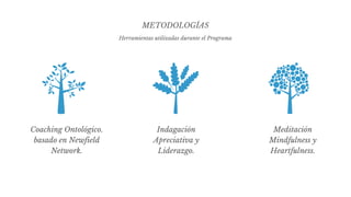 Programa de Desarrollo Personal - Online