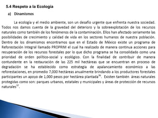 5.4 Respeto a la Ecología