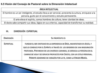 6.5 Visión del Consejo de Pastoral sobre la Dimensión Intelectual