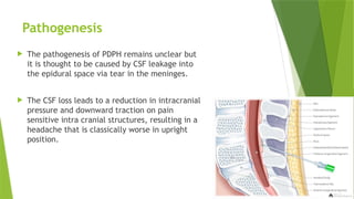 Pathogenesis
 The pathogenesis of PDPH remains unclear but
it is thought to be caused by CSF leakage into
the epidural space via tear in the meninges.
 The CSF loss leads to a reduction in intracranial
pressure and downward traction on pain
sensitive intra cranial structures, resulting in a
headache that is classically worse in upright
position.
 
