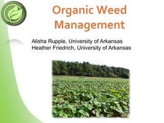 Organic Weed
Management
Alisha Rupple, University of Arkansas
Heather Friedrich, University of Arkansas
 