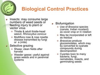 Organic weed management | PPTX