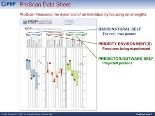PDP Presentation | PPT