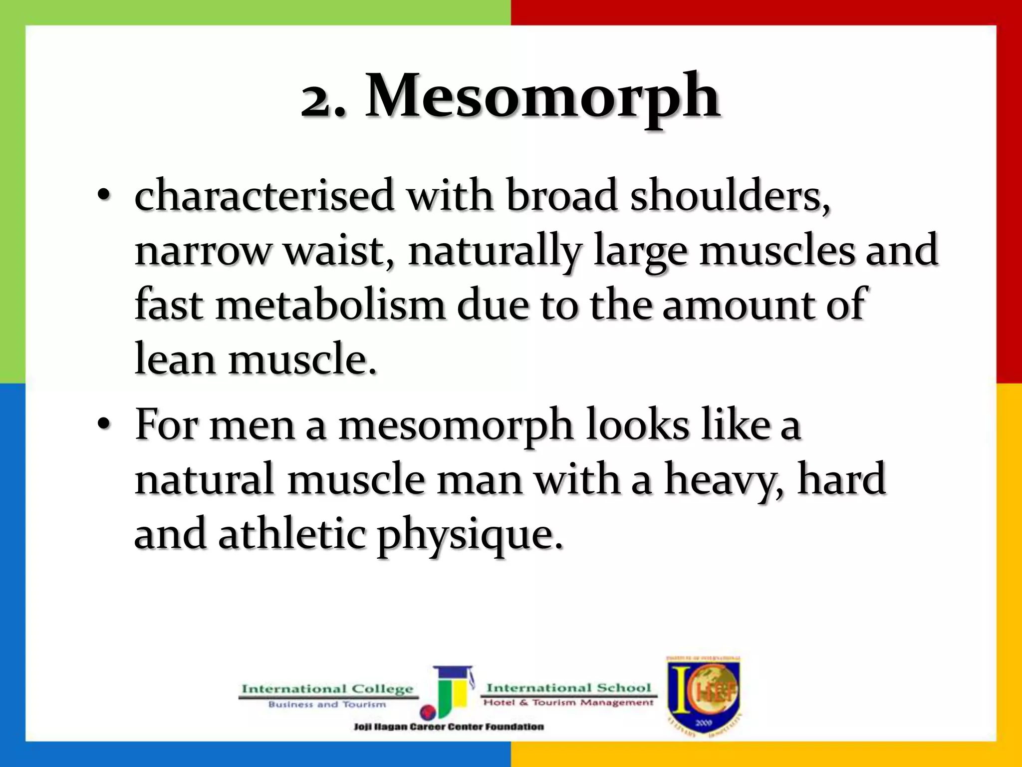 2. Mesomorph
• characterised with broad shoulders,
narrow waist, naturally large muscles and
fast metabolism due to the amount of
lean muscle.
• For men a mesomorph looks like a
natural muscle man with a heavy, hard
and athletic physique.
 