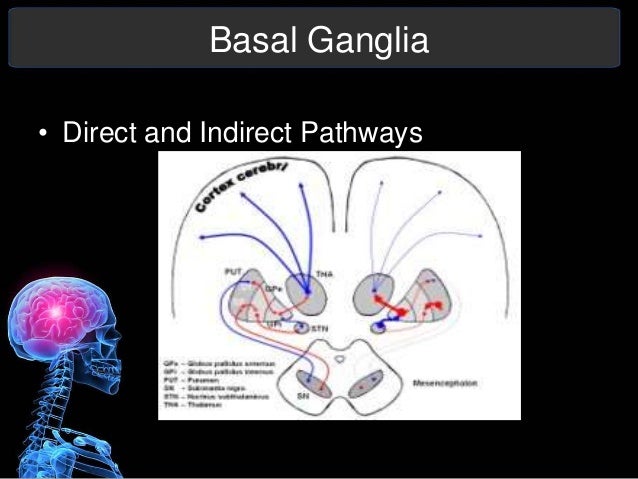 Parkinson's Disease Presentation Parkinson's Disease Presentation