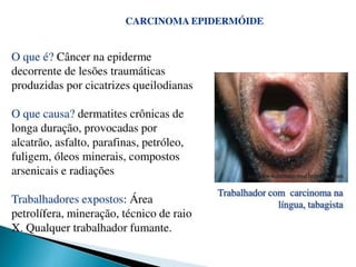 pdpt ruido proxima aula 3008.pdf
