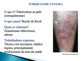 pdpt ruido proxima aula 3008.pdf