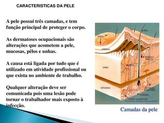 pdpt ruido proxima aula 3008.pdf