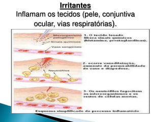 pdpt ruido proxima aula 3008.pdf