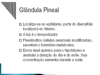 pdpt ruido proxima aula 3008.pdf