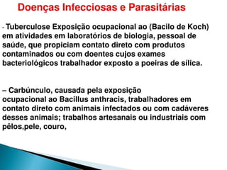 pdpt ruido proxima aula 3008.pdf