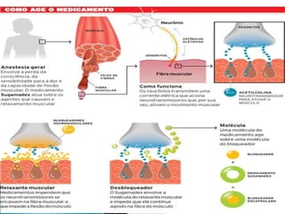 pdpt ruido proxima aula 3008.pdf