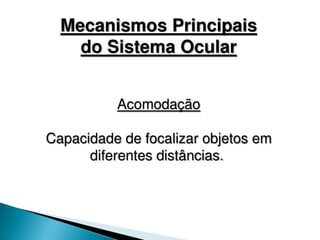 pdpt ruido proxima aula 3008.pdf