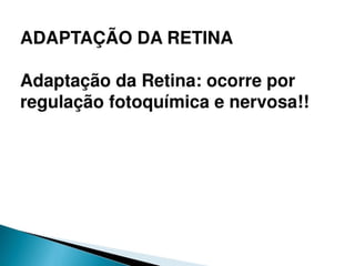 pdpt ruido proxima aula 3008.pdf
