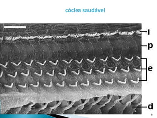 pdpt ruido proxima aula 3008.pdf