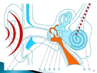 pdpt ruido proxima aula 3008.pdf