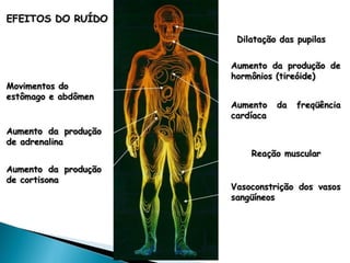 pdpt ruido proxima aula 3008.pdf