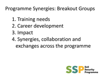 Programme Synergies: Breakout Groups
1. Training needs
2. Career development
3. Impact
4. Synergies, collaboration and
exchanges across the programme
 