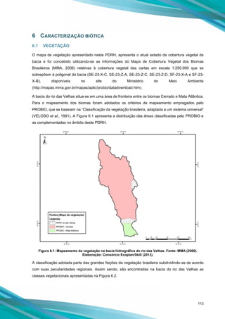 113
6 CARACTERIZAÇÃO BIÓTICA
6.1 VEGETAÇÃO
O mapa de vegetação apresentado neste PDRH, apresenta o atual estado da cobertura vegetal da
bacia e foi concebido utilizando-se as informações do Mapa de Cobertura Vegetal dos Biomas
Brasileiros (MMA, 2006) relativas à cobertura vegetal das cartas em escala 1:250.000 que se
sobrepõem à poligonal da bacia (SE-23-X-C, SE-23-Z-A, SE-23-Z-C, SE-23-Z-D, SF-23-X-A e SF-23-
X-B), disponíveis no site do Ministério do Meio Ambiente
(http://mapas.mma.gov.br/mapas/aplic/probio/datadownload.htm).
A bacia do rio das Velhas situa-se em uma área de fronteira entre os biomas Cerrado e Mata Atlântica.
Para o mapeamento dos biomas foram adotados os critérios de mapeamento empregados pelo
PROBIO, que se baseiam na “Classificação da vegetação brasileira, adaptada a um sistema universal”
(VELOSO et al., 1991). A Figura 6.1 apresenta a distribuição das áreas classificadas pelo PROBIO e
as complementadas no âmbito deste PDRH.
Figura 6.1: Mapeamento da vegetação na bacia hidrográfica do rio das Velhas. Fonte: MMA (2006).
Elaboração: Consórcio Ecoplan/Skill (2013).
A classificação adotada parte das grandes feições da vegetação brasileira subdividindo-as de acordo
com suas peculiaridades regionais. Assim sendo, são encontradas na bacia do rio das Velhas as
classes vegetacionais apresentadas na Figura 6.2.
 
