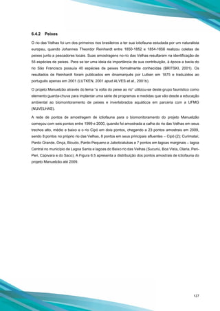 127
6.4.2 Peixes
O rio das Velhas foi um dos primeiros rios brasileiros a ter sua ictiofauna estudada por um naturalista
europeu, quando Johannes Theordor Reinhardt entre 1850-1852 e 1854-1856 realizou coletas de
peixes junto a pescadores locais. Suas amostragens no rio das Velhas resultaram na identificação de
55 espécies de peixes. Para se ter uma ideia da importância de sua contribuição, à época a bacia do
rio São Francisco possuía 40 espécies de peixes formalmente conhecidas (BRITSKI, 2001). Os
resultados de Reinhardt foram publicados em dinamarquês por Lutken em 1875 e traduzidos ao
português apenas em 2001 (LUTKEN, 2001 apud ALVES et al., 2001b).
O projeto Manuelzão através do lema “a volta do peixe ao rio” utilizou-se deste grupo faunístico como
elemento guarda-chuva para implantar uma série de programas e medidas que vão desde a educação
ambiental ao biomonitoramento de peixes e invertebrados aquáticos em parceria com a UFMG
(NUVELHAS).
A rede de pontos de amostragem de ictiofauna para o biomonitoramento do projeto Manuelzão
começou com seis pontos entre 1999 e 2000, quando foi amostrada a calha do rio das Velhas em seus
trechos alto, médio e baixo e o rio Cipó em dois pontos, chegando a 23 pontos amostrais em 2009,
sendo 8 pontos no próprio rio das Velhas, 8 pontos em seus principais afluentes – Cipó (2); Curimataí;
Pardo Grande, Onça, Bicudo, Pardo Pequeno e Jaboticatubas e 7 pontos em lagoas marginais – lagoa
Central no município de Lagoa Santa e lagoas do Baixo rio das Velhas (Sucuriú, Boa Vista, Olaria, Peri-
Peri, Capivara e do Saco). A Figura 6.5 apresenta a distribuição dos pontos amostrais de ictiofauna do
projeto Manuelzão até 2009.
 
