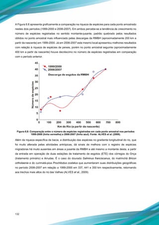 132
A Figura 6.8 apresenta graficamente a comparação na riqueza de espécies para cada ponto amostrado
nestes dois períodos (1999-2000 e 2006-2007). Em ambos percebe-se a tendência de crescimento no
número de espécies registradas no sentido montante-jusante, padrão quebrado pelos resultados
obtidos no ponto amostral mais influenciado pelas descargas da RMBH (aproximadamente 200 km a
partir da nascente) em 1999-2000. Já em 2006-2007 este mesmo local apresentou melhores resultados
com relação à riqueza de espécies de peixes, porém no ponto amostral seguinte (aproximadamente
400 km a partir da nascente) houve decréscimo no número de espécies registradas em comparação
com o período anterior.
Figura 6.8: Comparação entre o número de espécies registradas em cada ponto amostral nos períodos
1999-2000 (linha vermelha) e 2006-2007 (linha azul). Fonte: ALVES et al. (2009).
Além da riqueza específica da bacia, a distribuição das espécies no gradiente longitudinal do rio, que
foi muito alterada pelas atividades antrópicas, dá sinais de melhora com o registro de espécies
migradoras há muito ausentes em áreas a jusante da RMBH e até mesmo a montante desta, a partir
da entrada em operação de duas estações de tratamento de esgotos (ETE) dos córregos do Onça
(tratamento primário) e Arrudas. É o caso do dourado Salminus franciscanus, do matrinchã Bricon
orthotaenia e do curimatá-pioa Prochilodus costatus que aumentaram suas distribuições geográficas
no período 2006-2007 em relação a 1999-2000 em 337, 441 e 350 km respectivamente, retornando
aos trechos mais altos do rio das Velhas (ALVES et al., 2009).
 