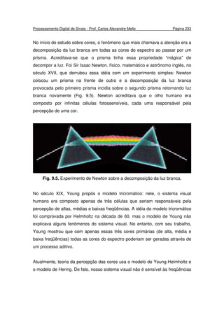 Processamento Digital de Sinais - Prof. Carlos Alexandre Mello Página 233
No início do estudo sobre cores, o fenômeno que mais chamava a atenção era a
decomposição da luz branca em todas as cores do espectro ao passar por um
prisma. Acreditava-se que o prisma tinha essa propriedade “mágica” de
decompor a luz. Foi Sir Isaac Newton, físico, matemático e astrônomo inglês, no
século XVII, que derrubou essa idéia com um experimento simples: Newton
colocou um prisma na frente de outro e a decomposição da luz branca
provocada pelo primeiro prisma incidia sobre o segundo prisma retornando luz
branca novamente (Fig. 9.5). Newton acreditava que o olho humano era
composto por infinitas células fotossensíveis, cada uma responsável pela
percepção de uma cor.
Fig. 9.5. Experimento de Newton sobre a decomposição da luz branca.
No século XIX, Young propôs o modelo tricromático: nele, o sistema visual
humano era composto apenas de três células que seriam responsáveis pela
percepção de altas, médias e baixas freqüências. A idéia do modelo tricromático
foi comprovada por Helmholtz na década de 60, mas o modelo de Young não
explicava alguns fenômenos do sistema visual. No entanto, com seu trabalho,
Young mostrou que com apenas essas três cores primárias (de alta, média e
baixa freqüências) todas as cores do espectro poderiam ser geradas através de
um processo aditivo.
Atualmente, teoria da percepção das cores usa o modelo de Young-Helmholtz e
o modelo de Hering. De fato, nosso sistema visual não é sensível às freqüências
 