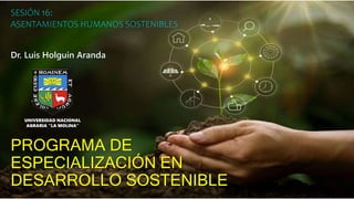 PROGRAMA DE
ESPECIALIZACIÓN EN
DESARROLLO SOSTENIBLE
SESIÓN 16:
ASENTAMIENTOS HUMANOS SOSTENIBLES
Dr. Luis Holguin Aranda
UNIVERSIDAD NACIONAL
AGRARIA “LA MOLINA”
 