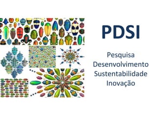Pesquisa
Desenvolvimento
Sustentabilidade
Inovação
PDSI
 