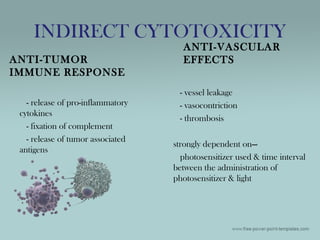 INDIRECT CYTOTOXICITY
ANTI-VASCULAR
EFFECTS
- vessel leakage
- vasocontriction
- thrombosis
strongly dependent on—
photosensitizer used & time interval
between the administration of
photosensitizer & light
ANTI-TUMOR
IMMUNE RESPONSE
- release of pro-inflammatory
cytokines
- fixation of complement
- release of tumor associated
antigens
 